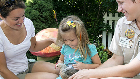 Family Play Programs at Brookfield Zoo